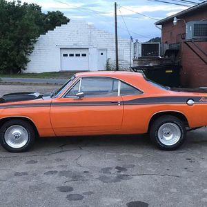 Meet your Posher, Terry